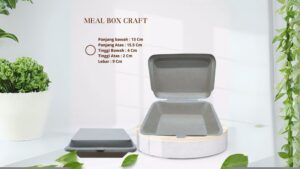 Paper Meal Box Craft